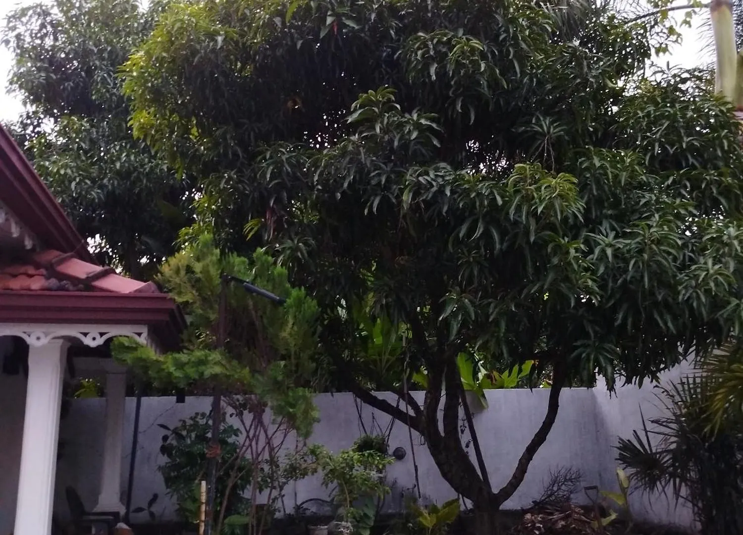 Guest house White Palace Negombo