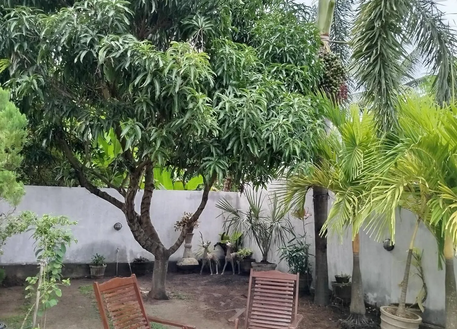Guest house White Palace Negombo